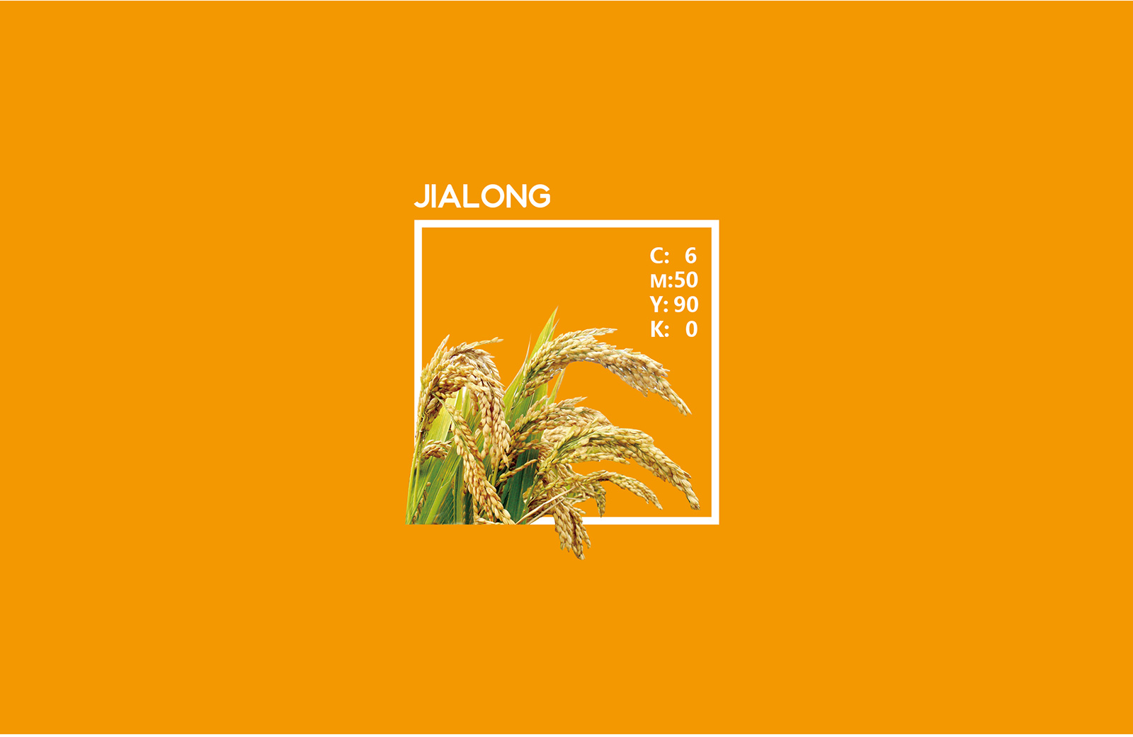 jialong_04